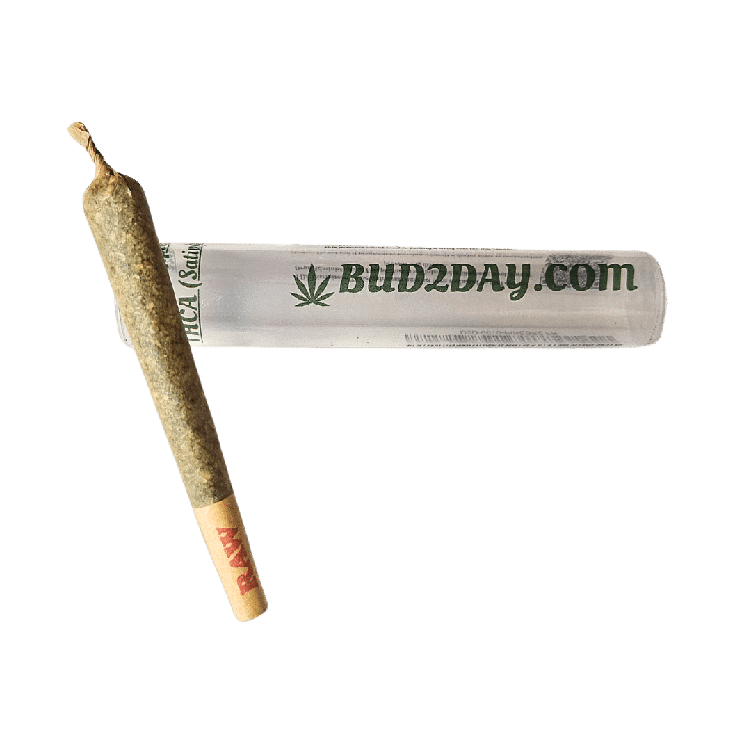 Jack Herer THCP RAW Cone Pre-Rolls (Sativa)